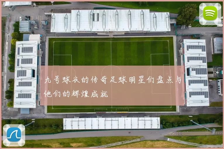九号球衣的传奇足球明星们盘点与他们的辉煌成就
