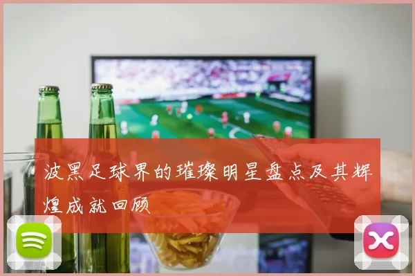 波黑足球界的璀璨明星盘点及其辉煌成就回顾