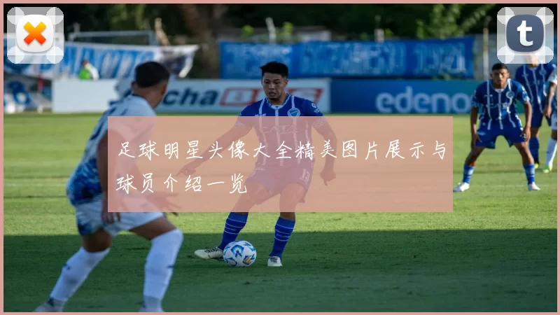 足球明星头像大全精美图片展示与球员介绍一览