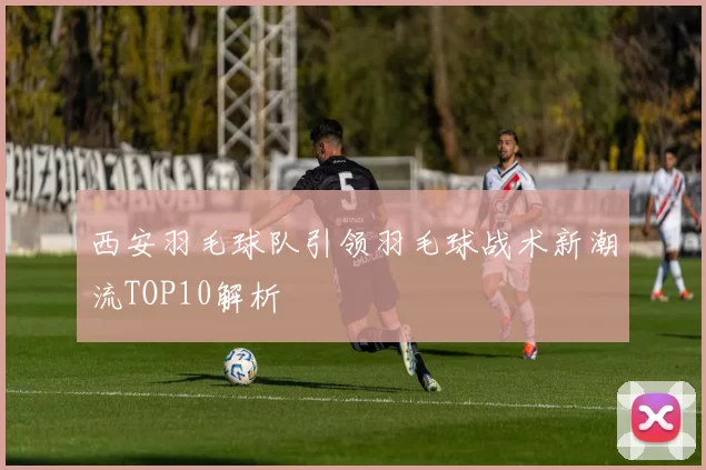 西安羽毛球队引领羽毛球战术新潮流TOP10解析