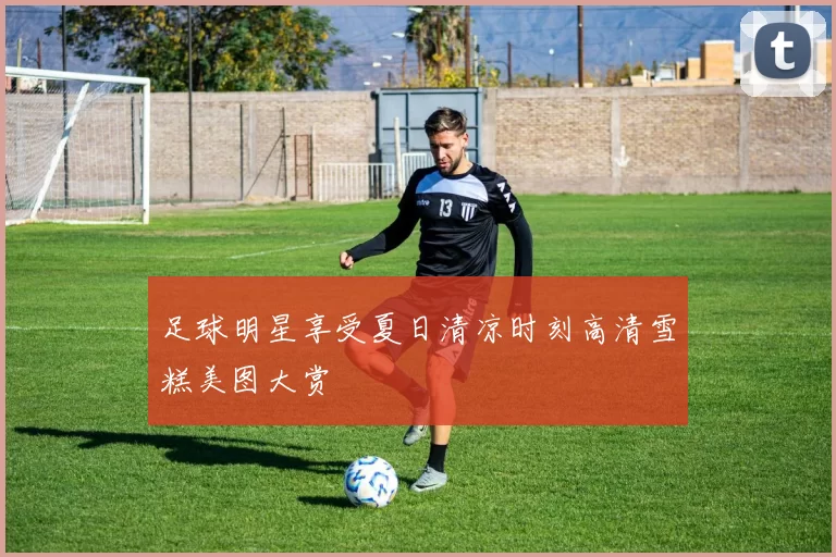 足球明星享受夏日清凉时刻高清雪糕美图大赏