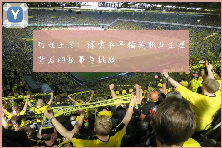 对话王芳：探索和平精英职业生涯背后的故事与挑战
