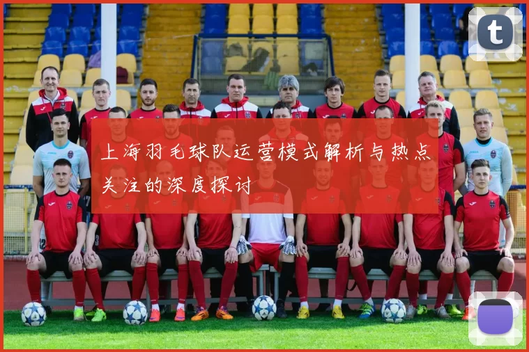 上海羽毛球队运营模式解析与热点关注的深度探讨