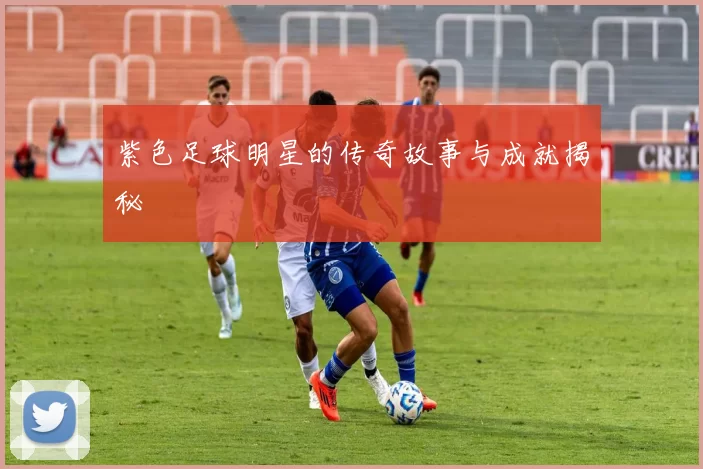 紫色足球明星的传奇故事与成就揭秘