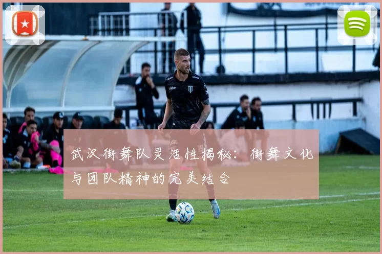 武汉街舞队灵活性揭秘：街舞文化与团队精神的完美结合