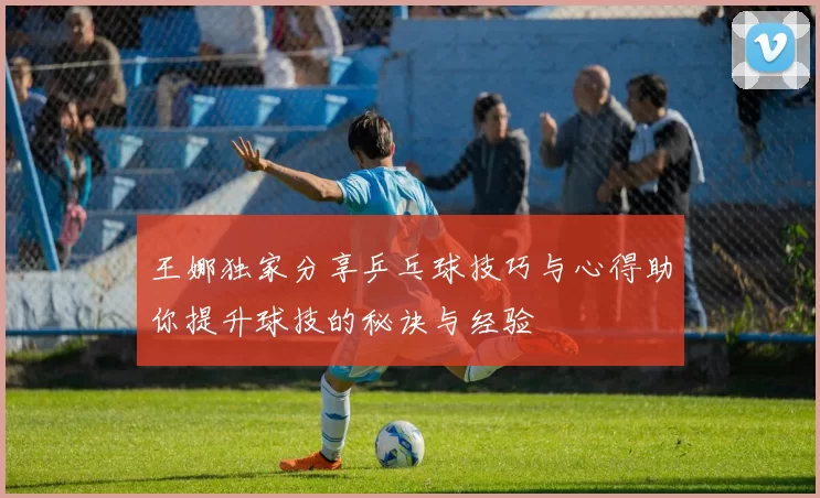 王娜独家分享乒乓球技巧与心得助你提升球技的秘诀与经验